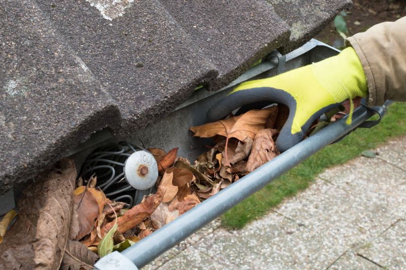 Fall Gutter Clearing