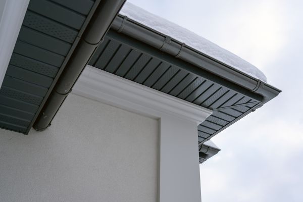 Soffit Repair